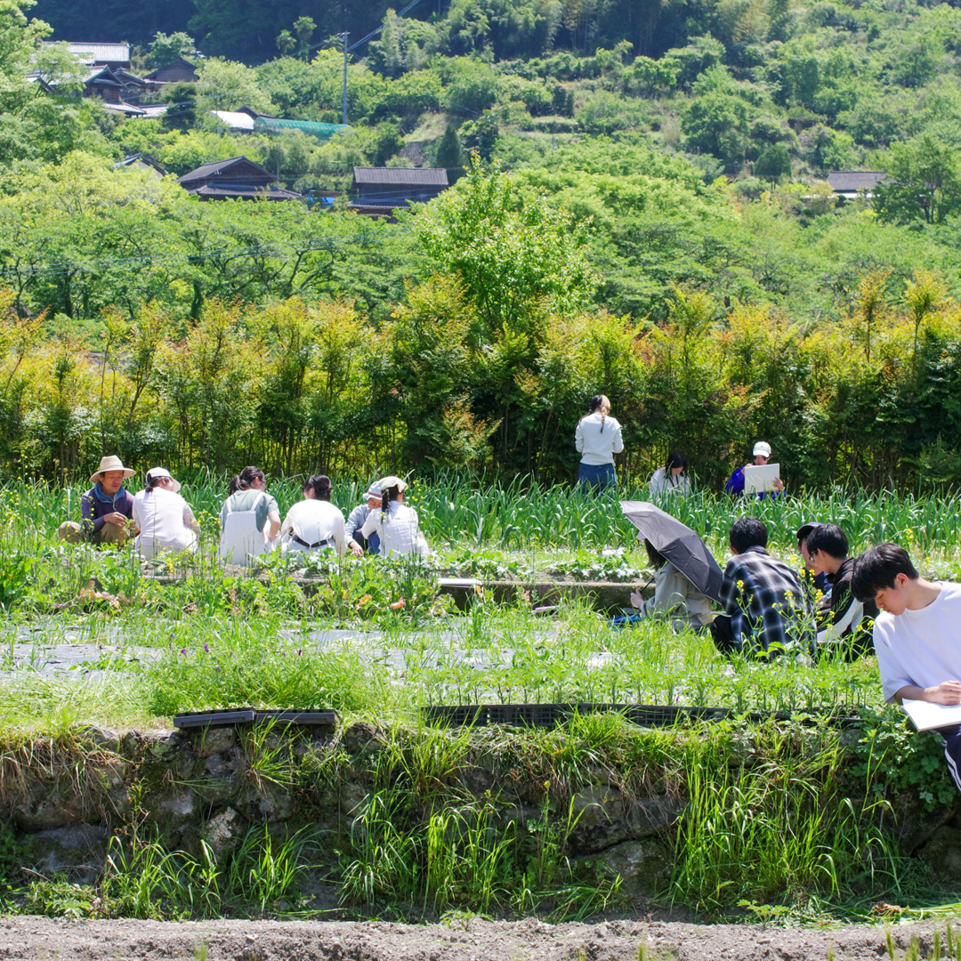 Botanical Outlines of Kamiyama（グラフィックデザイン）