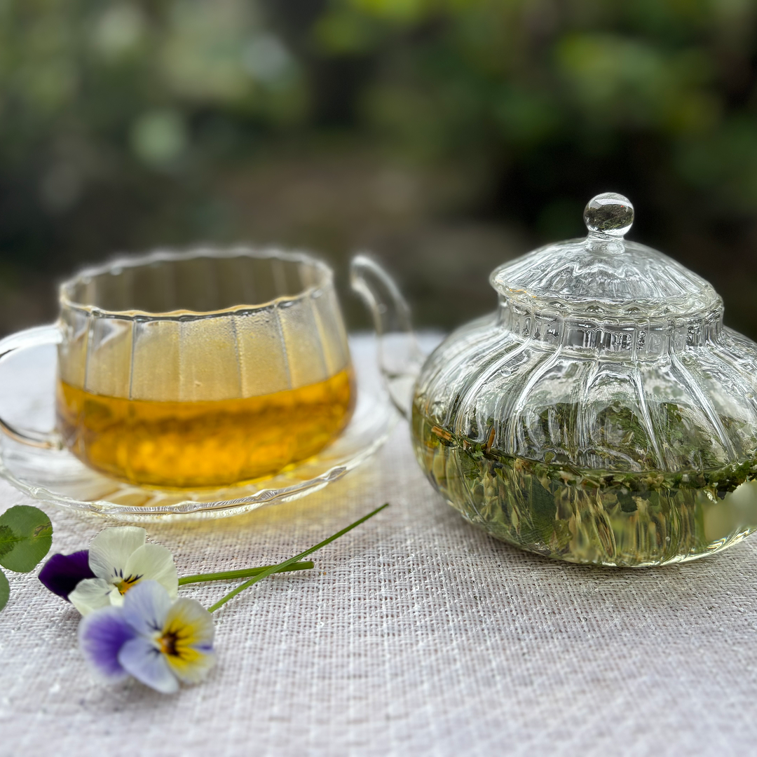 いろゆめみどり